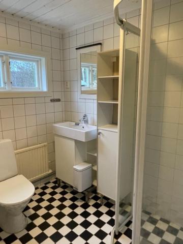 Lillhuset Norr Saelens By Vila Exterior foto